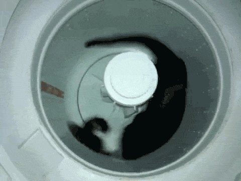   ,) 