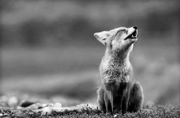 �� ����� �������,����� ��� ���� ����� ���� ������� ;(