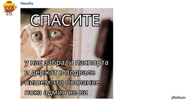 Администраторы паблика Pikabu :D