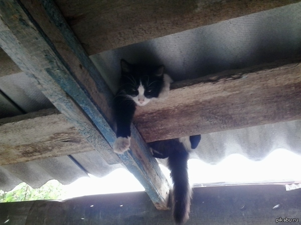 Странное место для отдыха