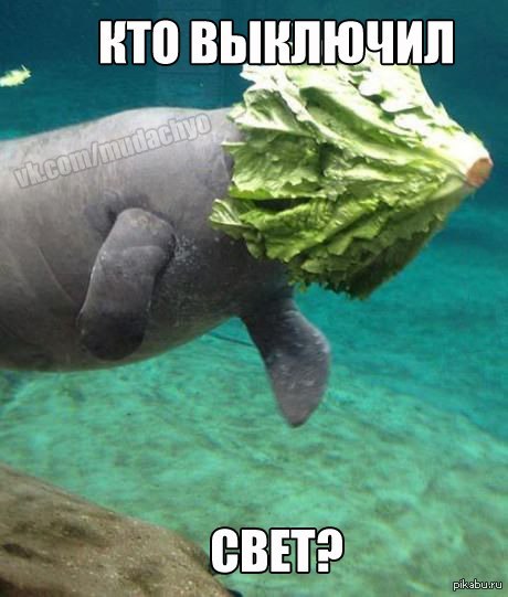 � ��������� �����...