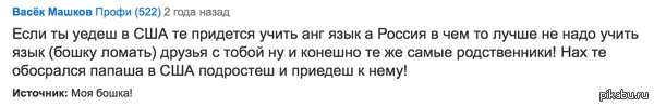 Почему не стоит уезжать жить в США. Мнение Васька.