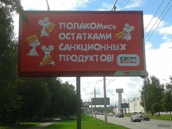  80    
