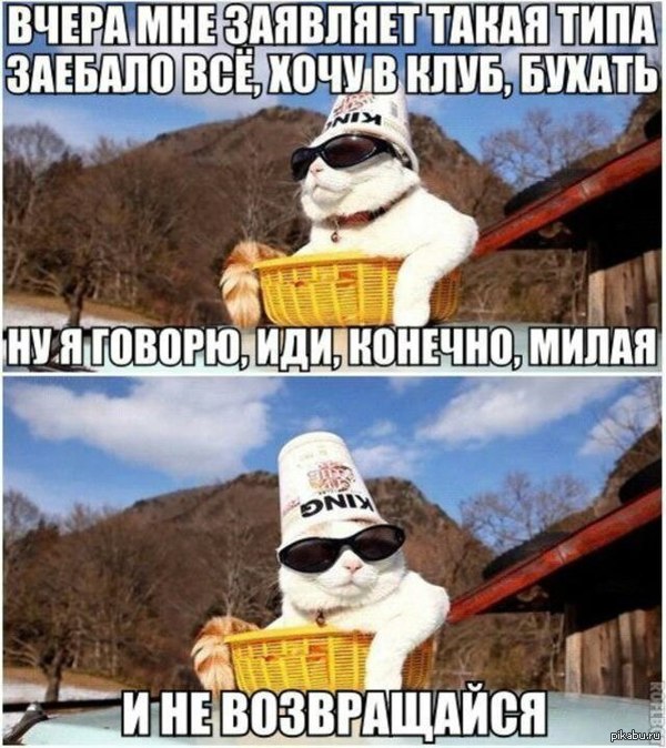 ���������� ���