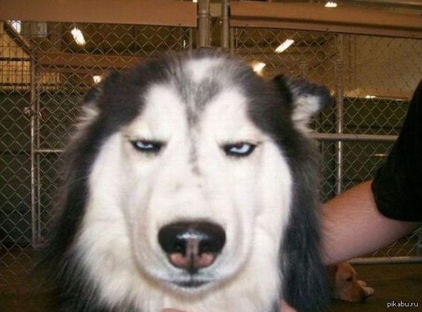 ��������� call-������ ��������� ����� ���� ��� �� ������...