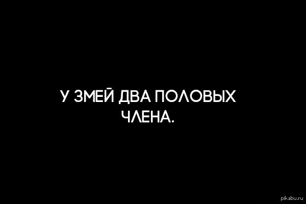     )