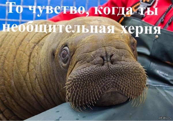 ���������� ������ � ���� ������