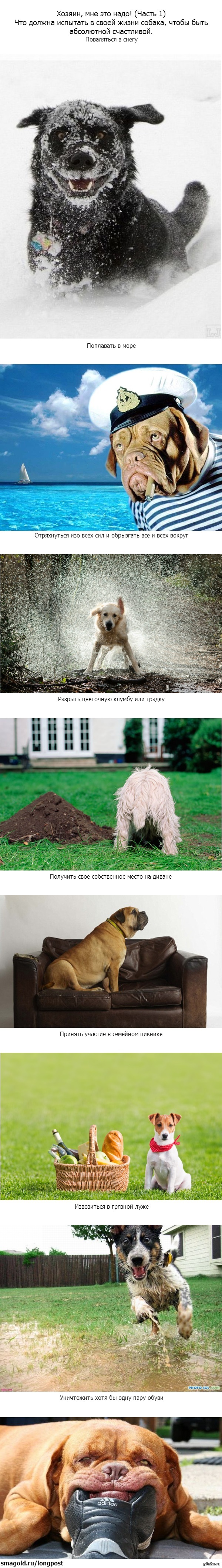 ��� ������ �������� ������, ����� ���� ��������� ���������� (����� 1)