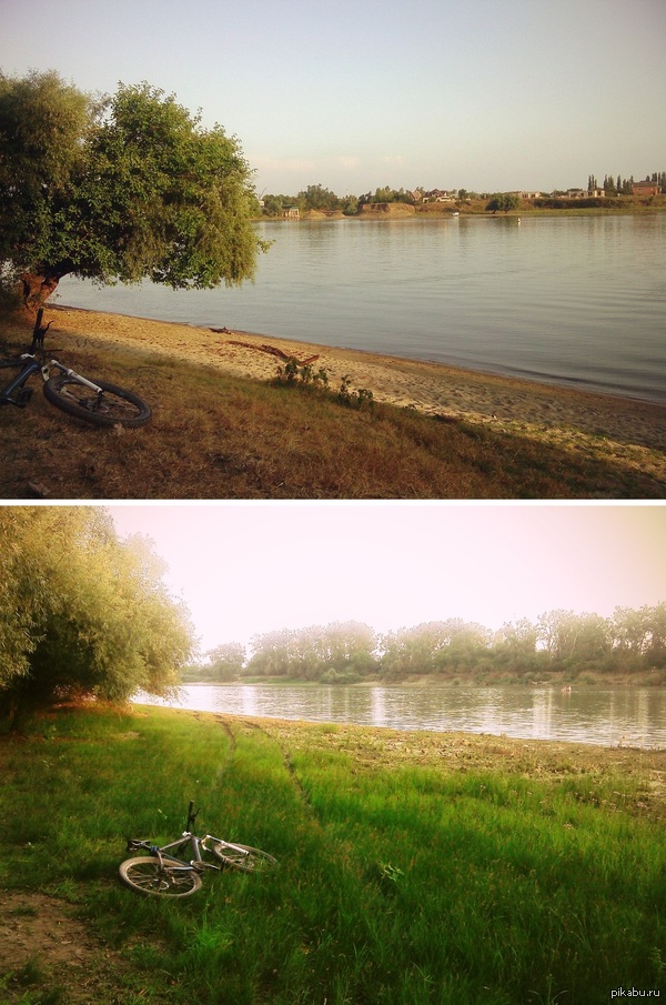 Лучшие помощники в ежедневных тренировках — это... комары!