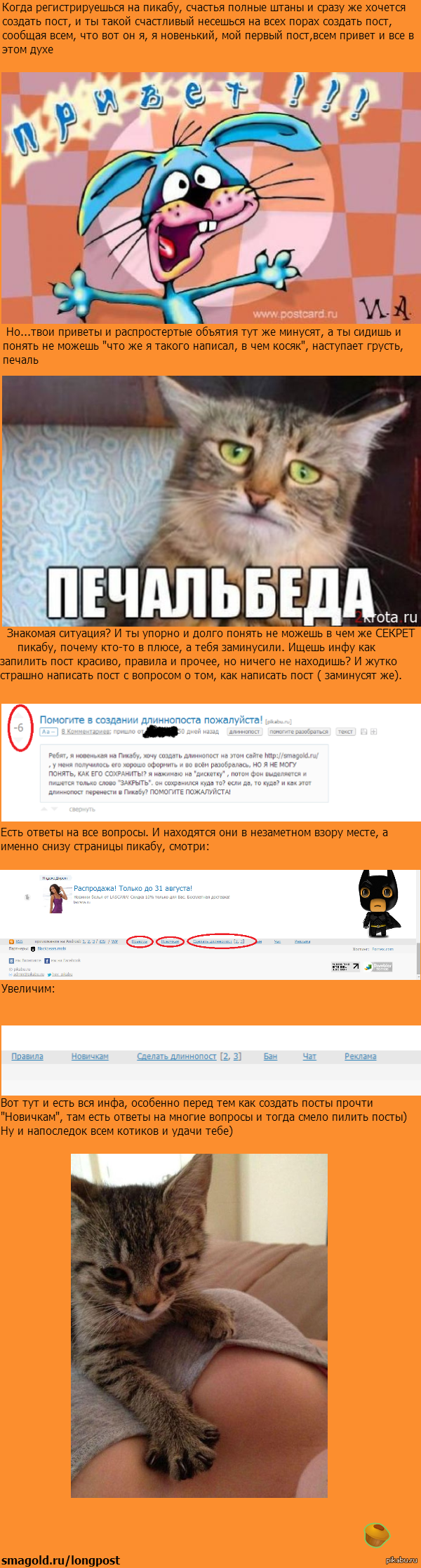 �������� ������ �� �������)