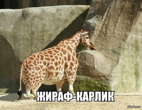 ������������ �����