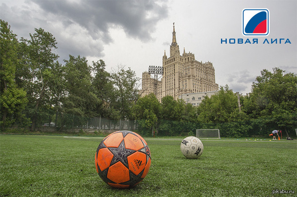 23  2014.,        -   .