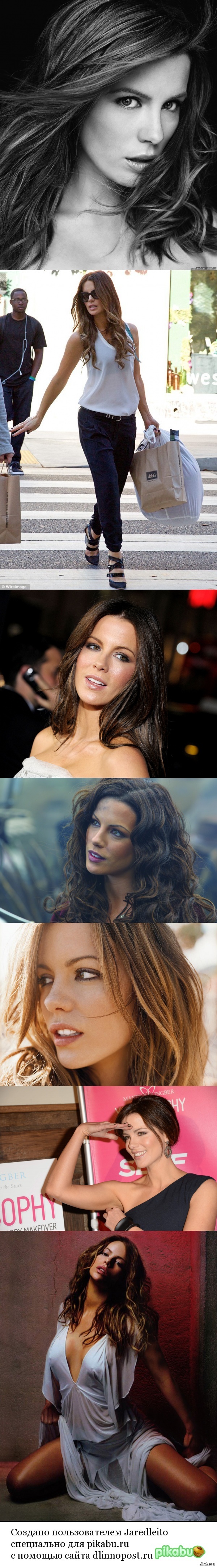 ���� ����� ���������