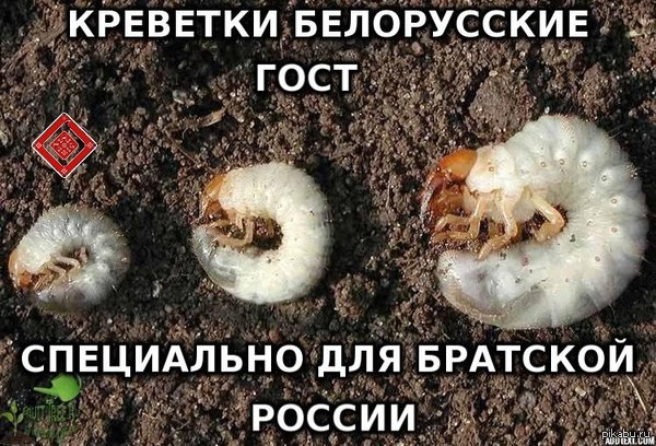        ! :D
