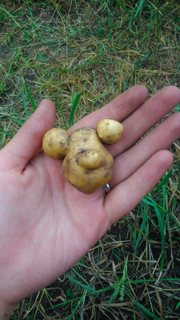 ������ ��� ������ ��������) �������� �����)