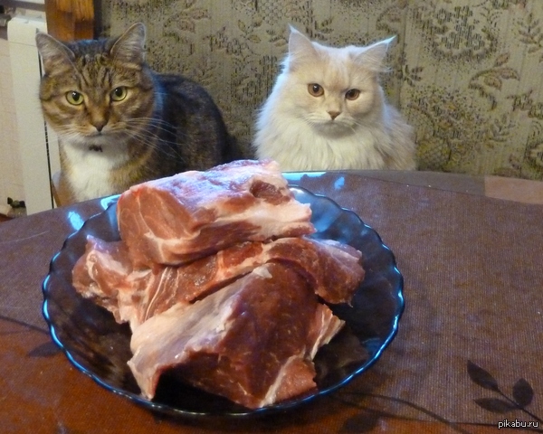 ���������� ���� ����