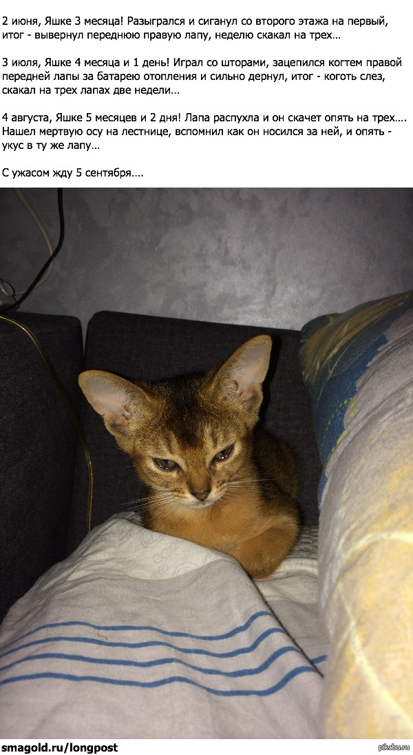 ������� ���  ������������ ������� ����...