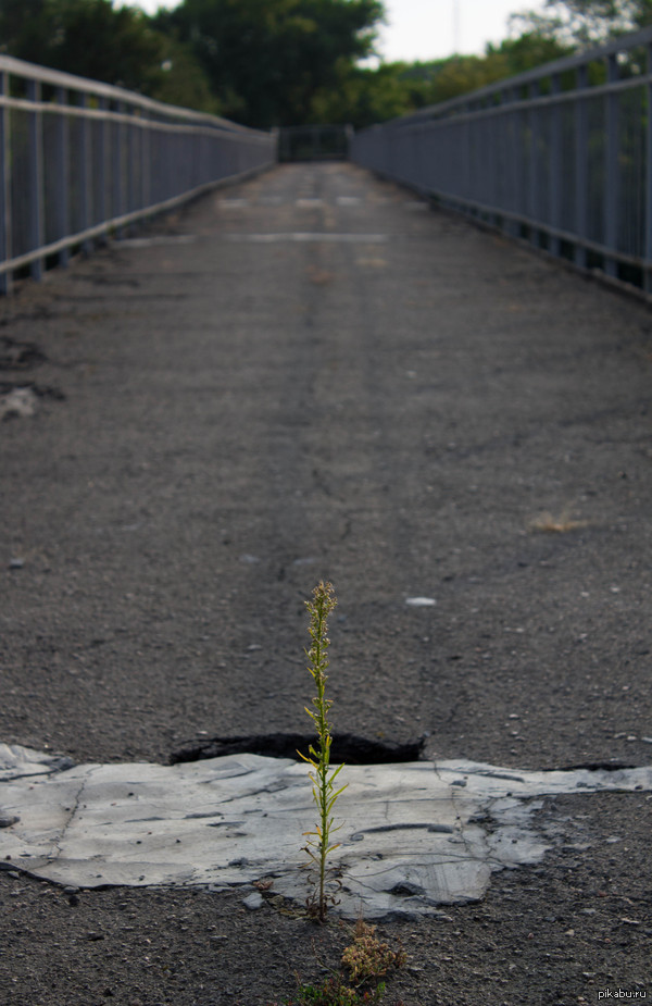 ������ ����...(� ��� ������ ������ ����� Akon � Mr. Lonely)