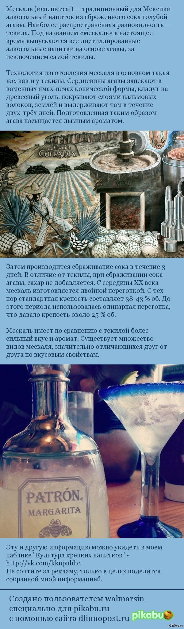 Мескаль | Пикабу