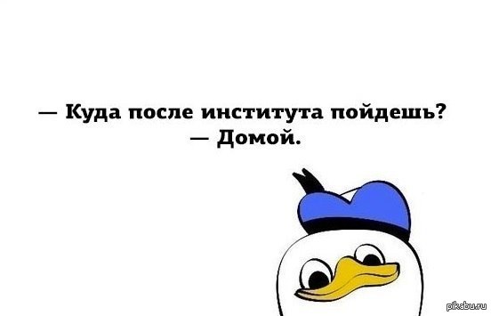 Куда после. Смешные мемы. Мемы про институт. Работа после вуза Мем. Смешные картинки после презентации.