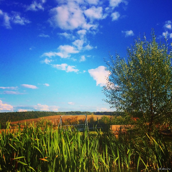 В Московской области дожди. Но это завтра. А сегодня?