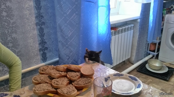 кися .