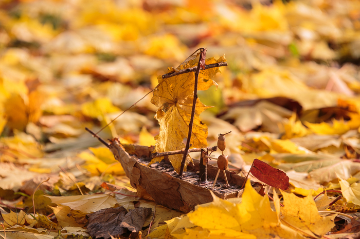 On the waves of autumn - My, Kindergarten, Crafts, Competition, Autumn, Ship, Leaf, Yellow, Leaves