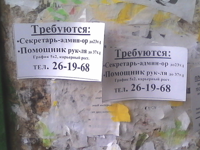 Hh такое и не снилось. - Моё, Гении по поиску, Работа, Шрифт, Мозги и сокращения, Рукля и ногля?