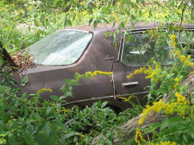 Departed cars - Auto, Car Cemetery, Forgotten, Lost, Longpost