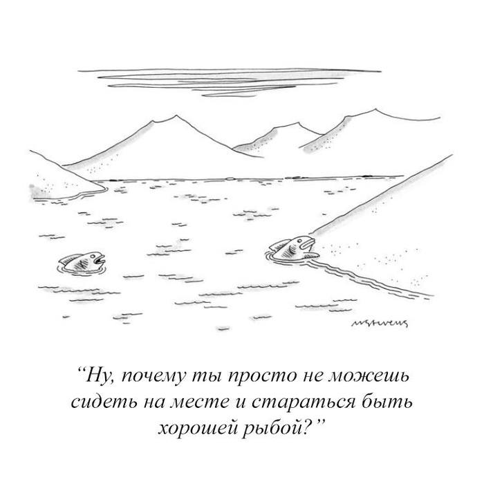   , , , The New Yorker,  New Yorker
