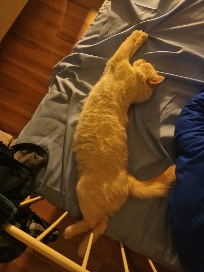   . , , , 