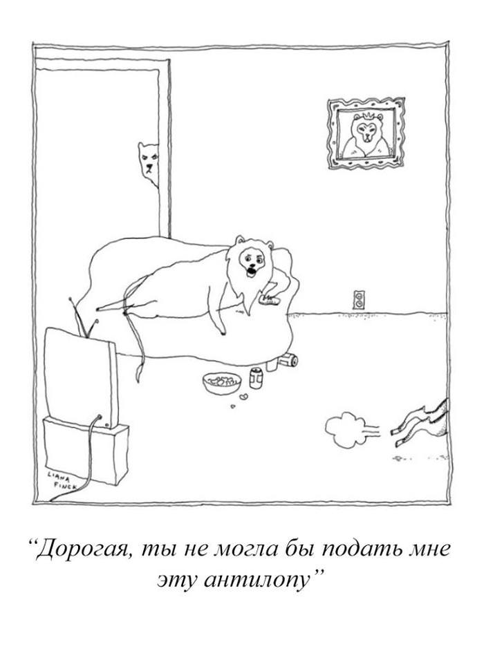    , , The New Yorker,  New Yorker