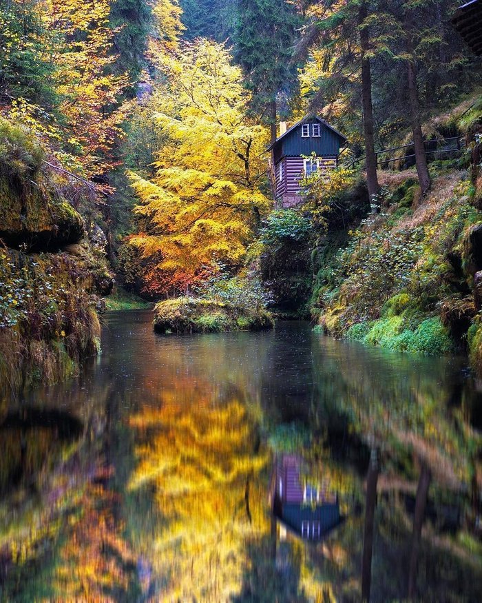 Fading colors of autumn - Autumn, Czech, House, Paints, Nature