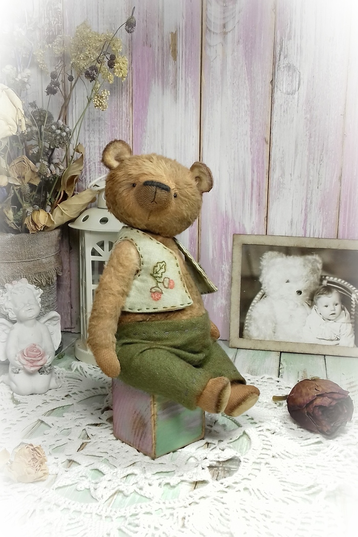 .    , , Teddy Bear, ,  