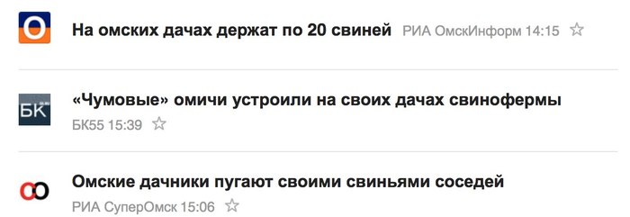 Swine fever, squirrels, elections and just everyday stories of Omsk for more than a year. - A selection, Humor, Black humor, Screenshot, Omsk, Longpost, news