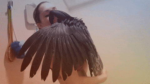 Time to take a shower! - Girls, A parrot, Shower, GIF