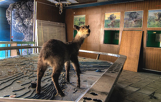 Abandoned Asama Volcano Museum, Japan. - Museum, Volcano, , Honshu, Japan, Abandoned, Longpost, Urbanphoto