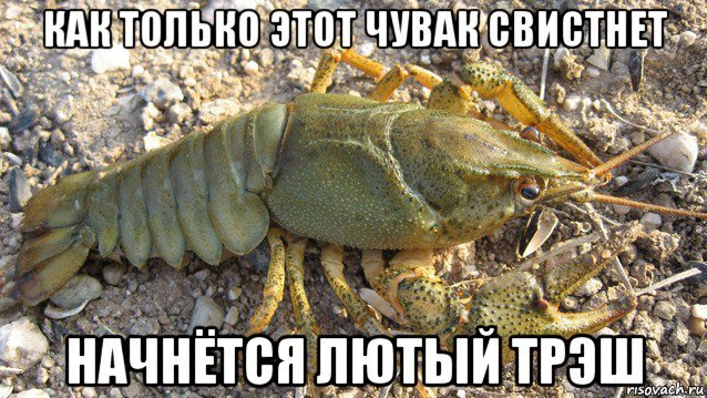 Лишь бы это произошло не на горе