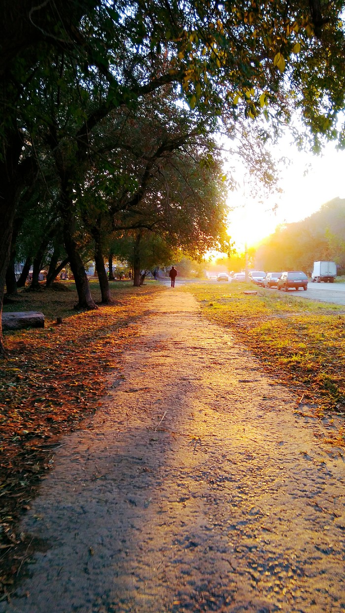 Not exactly seasonal. - My, cat, Chelyabinsk, Landscape, Autumn, Hello reading tags, Longpost