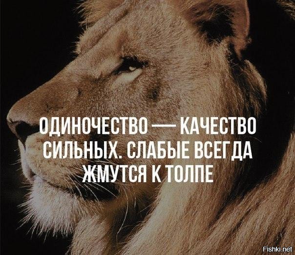 Заметки месячного холостяка...1 (Тезисно) - Моё, Холостяк, Выбор, Сила духа, Одиночество