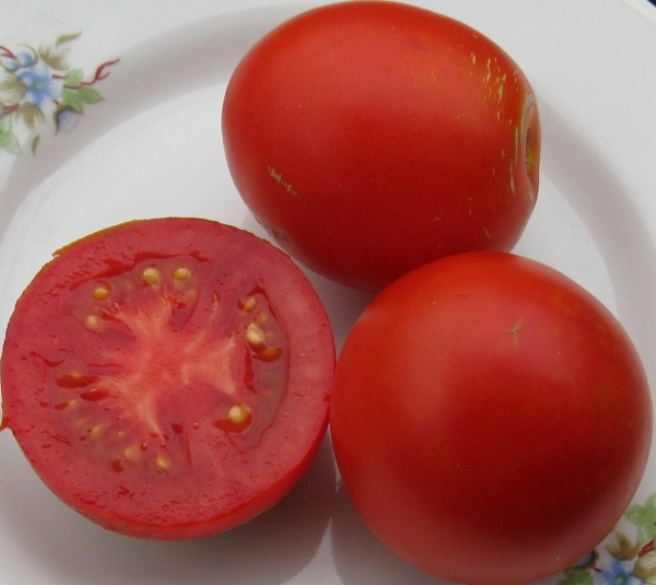 TOMATOES in winter??? EASILY!!! - My, Tomatoes, Garden, Vegetable garden on the windowsill, For the winter, Vegetables