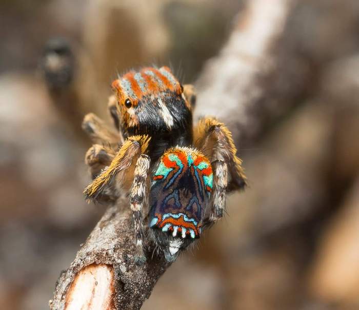 ������, ��� � � ��� �����?