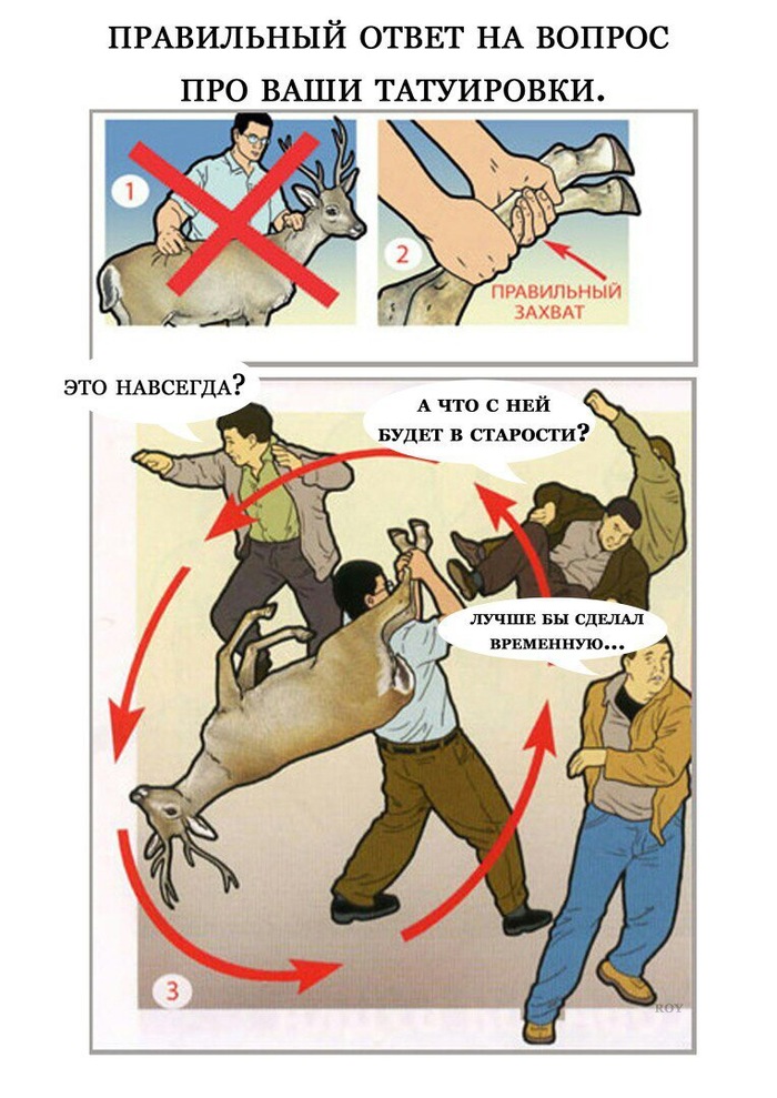 ���������� �����.