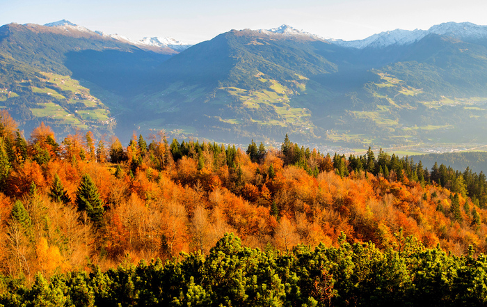 Autumn gold in the mountains - The photo, Autumn, The mountains, Austria
