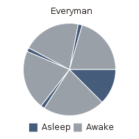 Polyphasic sleep. Day 1 - My, Dream, Mode, polyphasic sleep, cat, Longpost