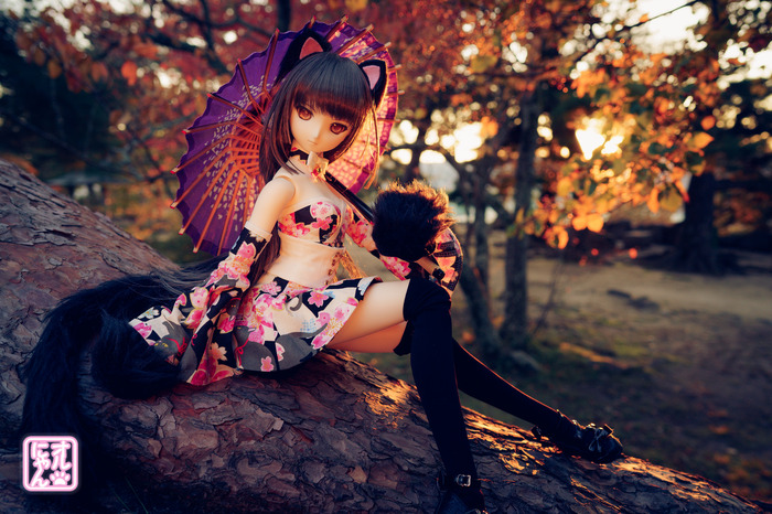 DollfieDream - фото дня