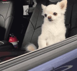 - Утро?! Я выжил!