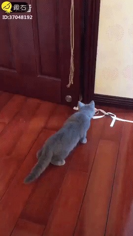 Ну на*ер