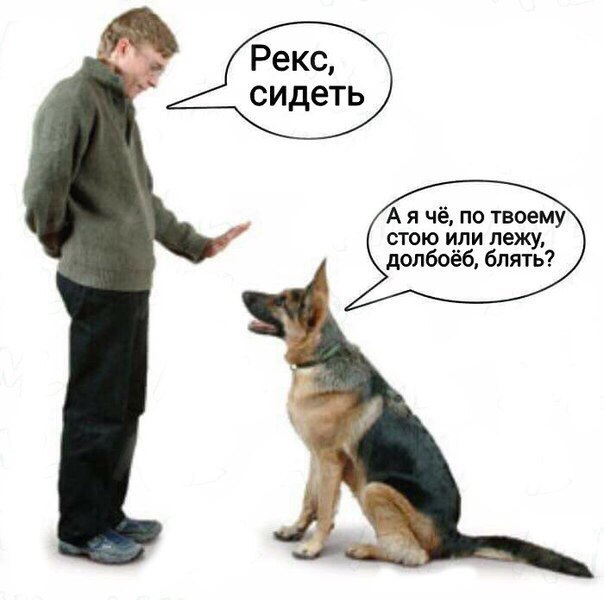 ������ ����.