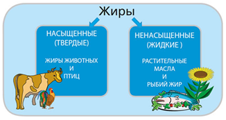 Кратко о функциях белков, жиров и углеводов. Или глупость при приеме BCAA - Моё, Спорт, Тренер, Программа тренировок, Спортивные советы, Здоровье, Похудение, Мышцы, Физкультура, Длиннопост